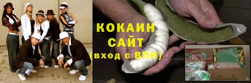 Cocaine FishScale  где можно купить наркотик  Шуя 