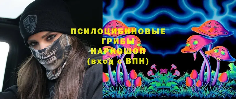 Галлюциногенные грибы Magic Shrooms  Шуя 